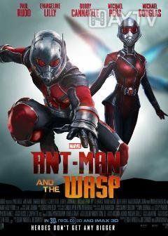 Ant-Man and the Wasp 2018 Dub in Hindi