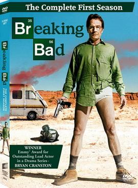 Breaking Bad 2008 S01 ALL EP in Hindi