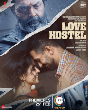 Love Hostel 2022 DVD