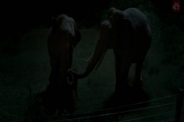 Ayalaan 2024 Hindi Dubbed thumb