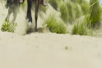 Azaad 2025 ORG DVD Rip thumb