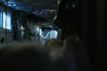 By Dawn 2019 Dub in Hindi thumb