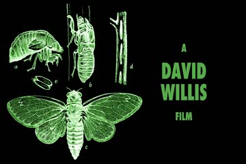 CICADA 2018 Dub in Hindi thumb