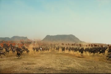 Chhaava 2025 ORG DVD Rip thumb