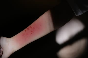 Chhorii 2 2025 ORG DVD Rip thumb