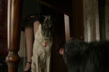 Fantastic Beasts and Where to Find Them 2017 Dub In Hindi 1080p Full HD thumb