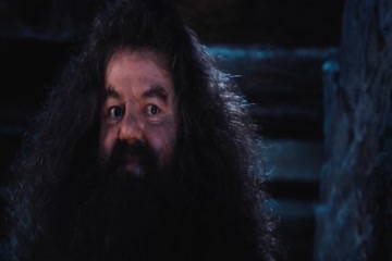 Harry Potter 1 and the Sorcerers Stone 2001 thumb