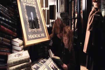 Harry Potter 2 and the Chamber of Secrets 2002 thumb