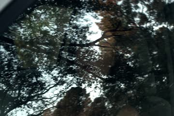 I Spit on Your Grave 2010 PART 2 Dub in Hindi thumb