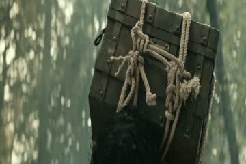 Jaat 2025 ORG DVD Rip thumb