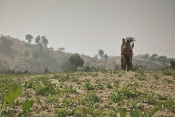 Maurh 2023 ORG DVD Rip thumb