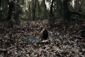 Operation Undead 2024 Dub in Hindi thumb