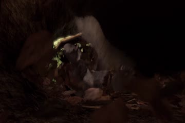 Over the Hedge 2006 In Hindi Only thumb