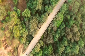 Rang Panjab 2018 DVD Rip thumb