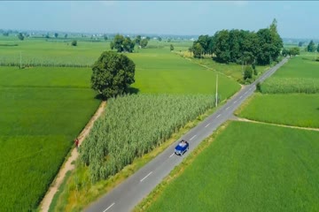 Saunkan Saunkanay 2 2025 ORG DVD Rip thumb