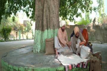 Taron Paar 2025 ORG DVD Rip thumb