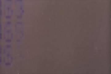 Terminator 2 Judgment Day 1991 thumb