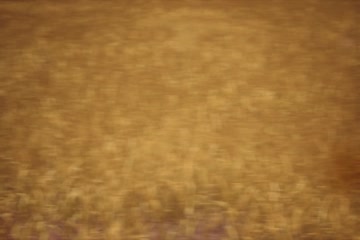 The Canterville Ghost 2023 Dub in Hindi thumb