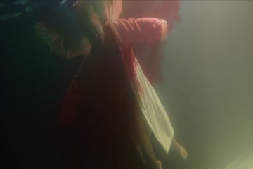 The Protege 2021 Dub in Hindi thumb