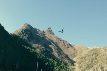 Woodwalkers 2024 Dub in Hindi thumb