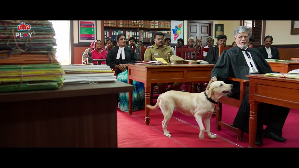 Kooran (2025) Hindi Dubbed Movie video thumbnail 3