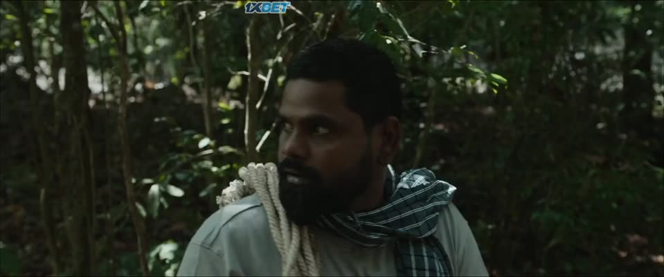 Photographer (2026) Hindi Dubbed Movie video thumbnail 5