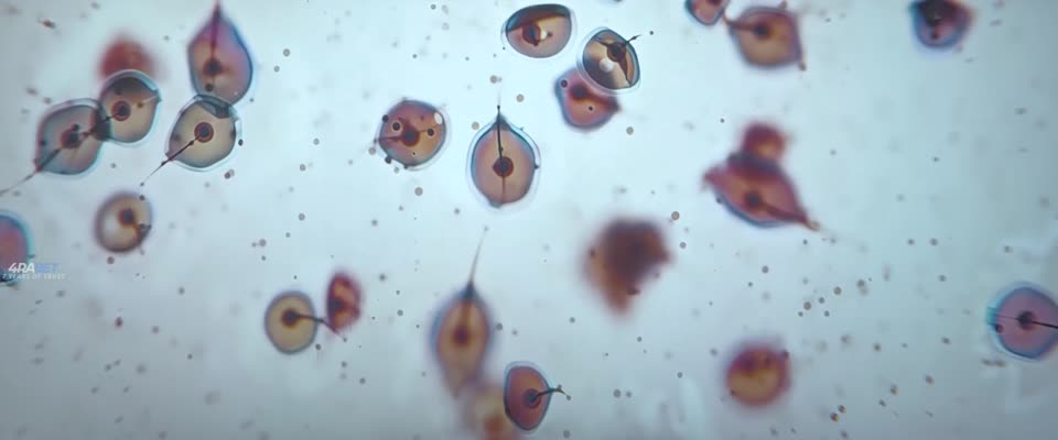 Clayface (2026) Hindi Dubbed Movie video thumbnail 2