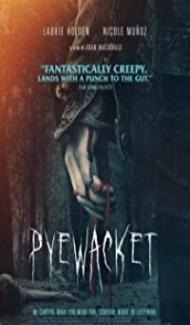Pyewacket (2017) English Movie poster