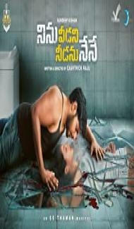Ninnu Veedani Needanu Nene (2019) South Indian Hindi Dubbed Movie poster