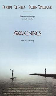 Awakenings (1990) Hindi Dubbed poster