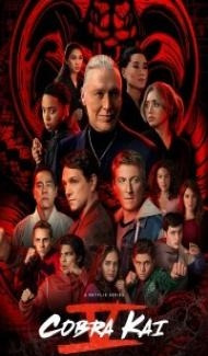 Cobra Kai (2022) Season 5 Web Series poster