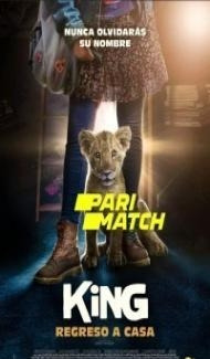King (2022) Hindi Dubbed poster