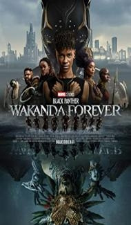 Black Panther Wakanda Forever (2022) Hindi Dubbed poster