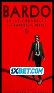 Bardo (2022) Hindi Dubbed poster