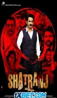 Zindagi Shatranj Hai (2023) Hindi Movie poster