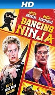 Dancing Ninja (2010) Hindi Dubbed poster