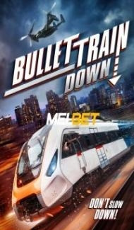 Bullet Train Down (2022) Hindi Dubbed poster