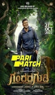 Gandhada Gudi (2022) South Indian Hindi Dubbed Movie poster