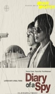 Diary of a Spy (2022) Hindi Dubbed poster