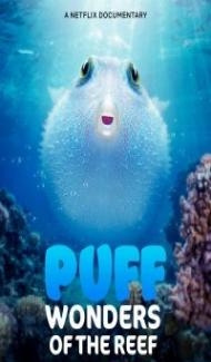 Puff Wonders of the Reef (2021) Hindi Dubbed poster