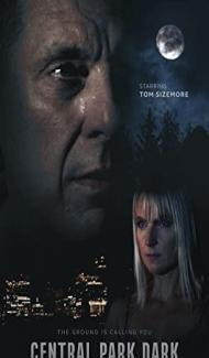 Central Park Dark (2021) Hindi Dubbed poster