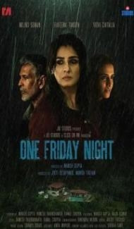 One Friday Night (2023) Hindi Movie poster