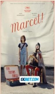 Marcel (2023) Hindi Dubbed poster