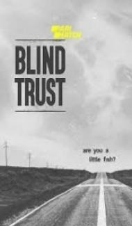 Blind Trust (2022) Hindi Dubbed poster