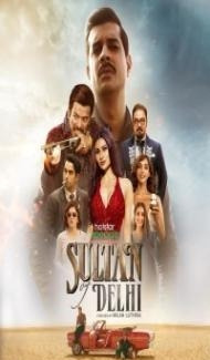 Sultan of Delhi (2023) Web Series poster