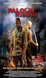 Falcon Rising (2014) Hindi Dubbed poster