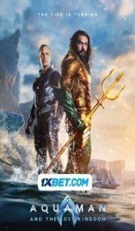 Aquaman and the Lost Kingdom (2023) Hindi Dubbed poster