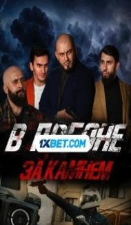 V pogone za kamnem (2023) Hindi Dubbed poster