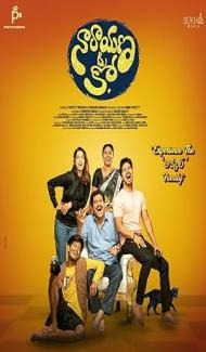 Narayana and Co (2023) South Indian Hindi Dubbed Movie poster