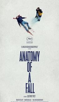 Anatomy of a Fall (2023) Hindi Dubbed poster